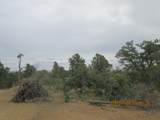 12510 Smyths Trek - Photo 29