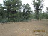 12510 Smyths Trek - Photo 3