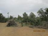 12510 Smyths Trek - Photo 30
