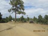 12510 Smyths Trek - Photo 31
