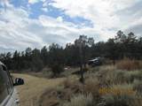 12510 Smyths Trek - Photo 32