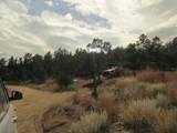 12510 Smyths Trek - Photo 33