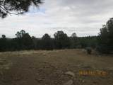 12510 Smyths Trek - Photo 4