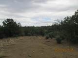 12510 Smyths Trek - Photo 5
