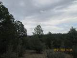 12510 Smyths Trek - Photo 7