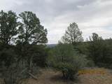 12510 Smyths Trek - Photo 8