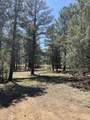 84 Spruce Dr - Photo 4