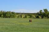 6053 Muddy Creek Rd - Photo 56