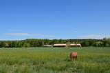 6053 Muddy Creek Rd - Photo 59