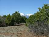 TBD Reins Road - Photo 13