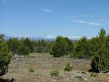 TBD Reins Road - Photo 15