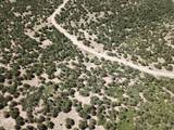 TBD Reins Road - Photo 28