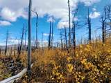 000 Galbreath Lane - Photo 1