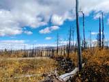 000 Galbreath Lane - Photo 2