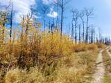 000 Galbreath Lane - Photo 4
