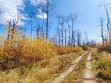 000 Galbreath Lane - Photo 6