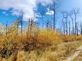 000 Galbreath Lane - Photo 7