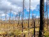 000 Galbreath Lane - Photo 8