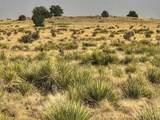 Lot 243 Turkey Ridge Ranch - Photo 5