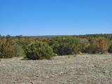 TBD Twin Lakes Ranches - Photo 5