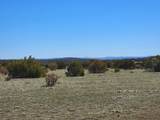 TBD Twin Lakes Ranches - Photo 6