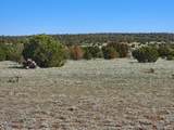TBD Twin Lakes Ranches - Photo 7