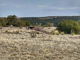 Lot 80 Turkey Ridge Ranch - Photo 3