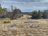 Lot 80 Turkey Ridge Ranch - Photo 4