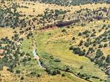 Lot 80 Turkey Ridge Ranch - Photo 5