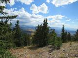 6554 Giesse Rd - Photo 39