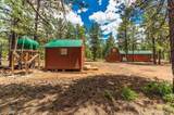 13250 Mountain Meadow - Photo 26