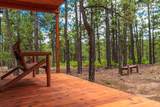 13250 Mountain Meadow - Photo 3