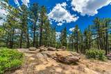 13250 Mountain Meadow - Photo 30