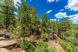 13250 Mountain Meadow - Photo 31