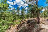 13250 Mountain Meadow - Photo 32