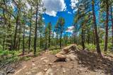13250 Mountain Meadow - Photo 34