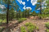 13250 Mountain Meadow - Photo 35