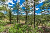 13250 Mountain Meadow - Photo 36