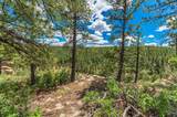 13250 Mountain Meadow - Photo 37