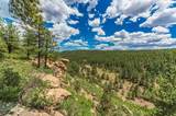 13250 Mountain Meadow - Photo 38