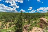 13250 Mountain Meadow - Photo 39