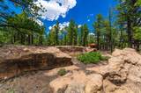 13250 Mountain Meadow - Photo 40