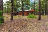 13250 Mountain Meadow - Photo 41