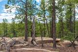 13250 Mountain Meadow - Photo 42
