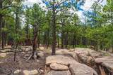 13250 Mountain Meadow - Photo 43