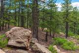 13250 Mountain Meadow - Photo 44