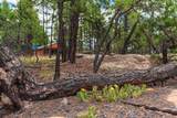 13250 Mountain Meadow - Photo 45