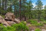 13250 Mountain Meadow - Photo 46