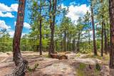 13250 Mountain Meadow - Photo 47