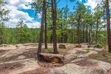 13250 Mountain Meadow - Photo 48